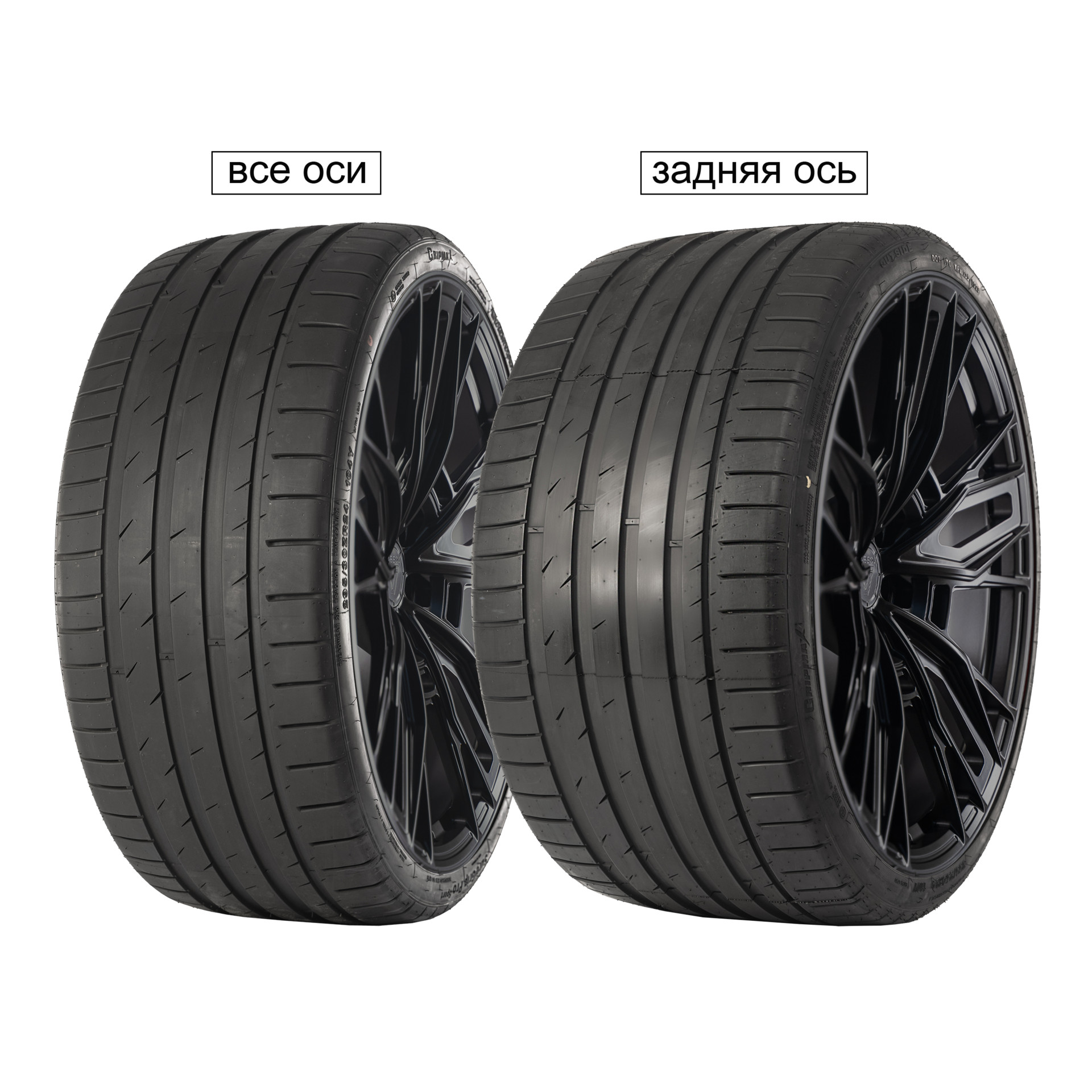 GRIPMAX SureGrip Pro Sport 255/30R19 91Y XL задняя ось