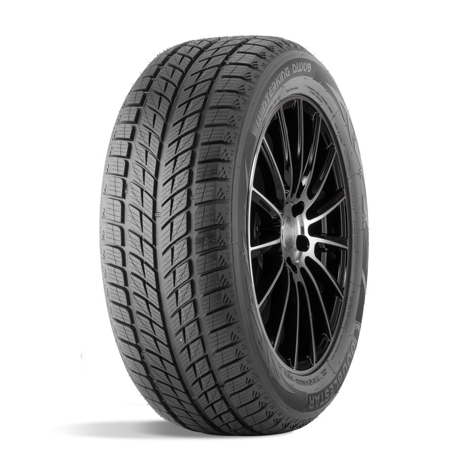 ДаблСтар DW09 245/45R18 96T