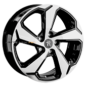 CHG55