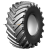 Belshina 30,5R32(800/65R32) 162A6 Ф-81 TT БЕЛАРУСЬ Belshina 30,5R32(800/65R32) 162A6 Ф-81 TT БЕЛАРУСЬ