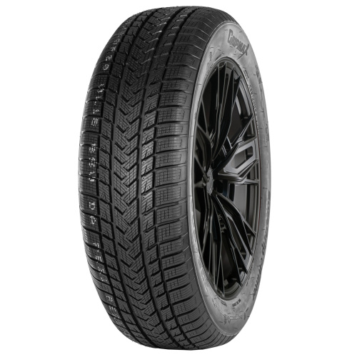 GRIPMAX SureGrip eWinter 215/40R17 87V XL BSW