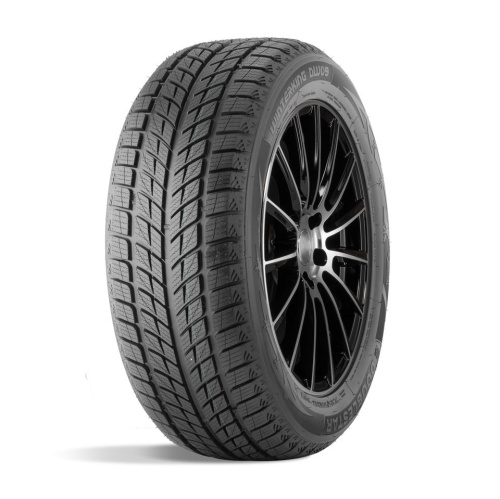 ДаблСтар DW09 255/55R20 107H