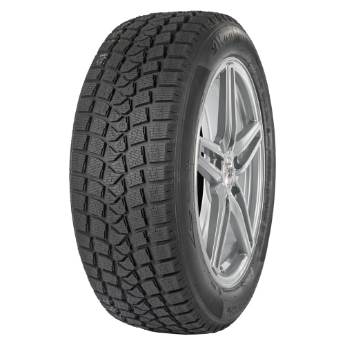 RAUFFAN SNOWMASTER W1 225/45R17 94H XL