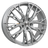 R119 (Exeed)